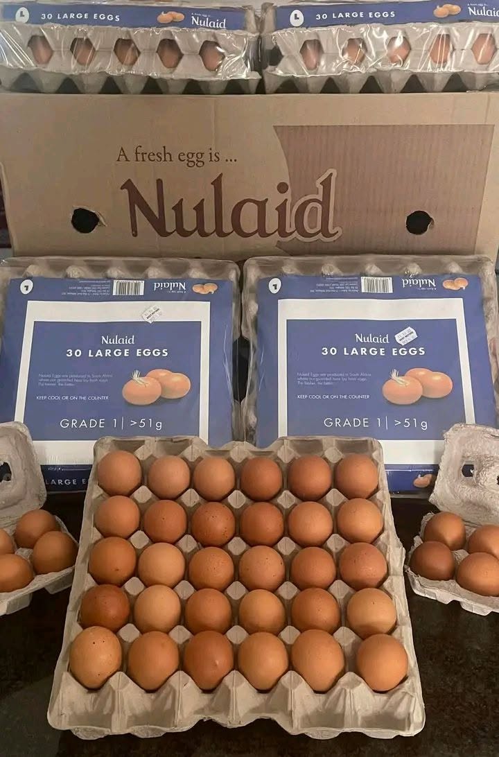 Sorted and graded eggs
