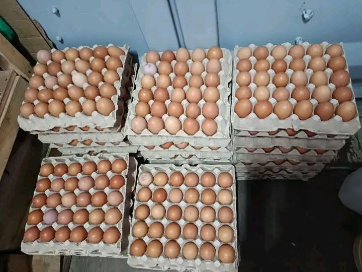 Half crate of eggs