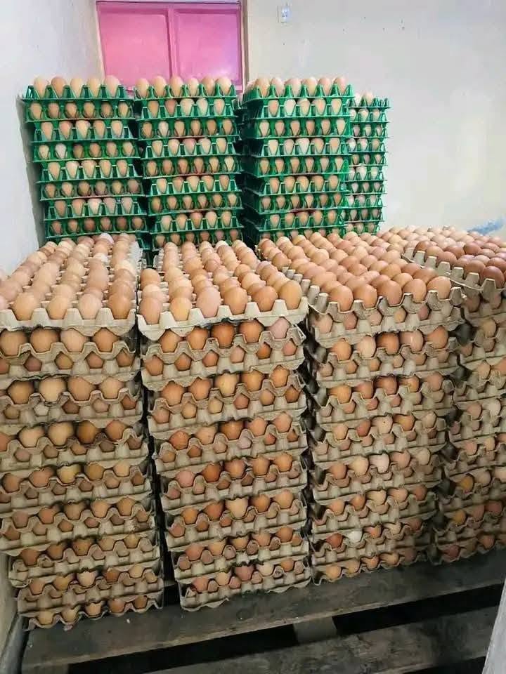 Bulk eggs for hotels and restaurants