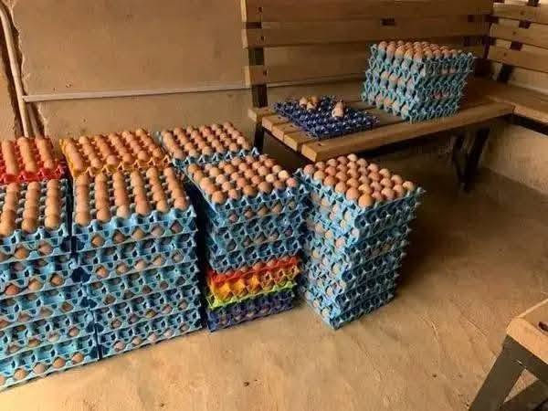 Farm fresh eggs from Malava